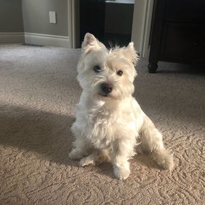 Meet your Posher, Lori